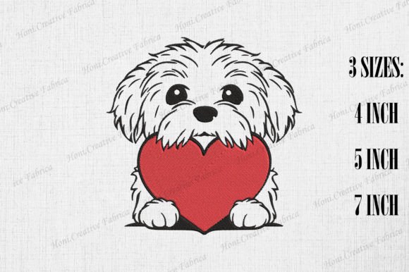 Cute Havanese Peeking from Heart